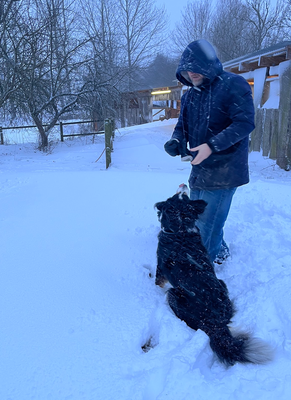 Overskriften mangler ikke